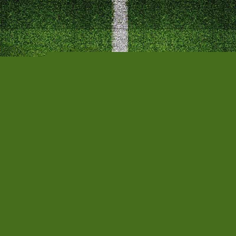 袁悦