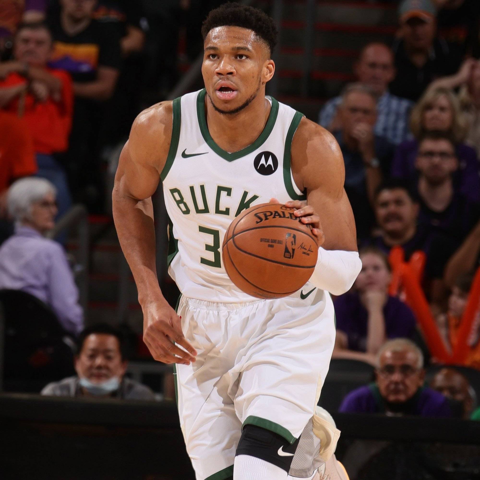 博洛尼亚在 博洛尼亚在